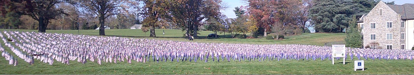 Veterans flags - wide view