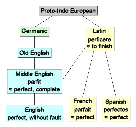 Linguistic diagram of perfect