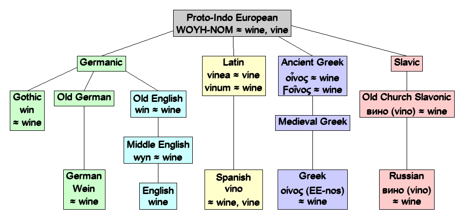 Linguistic diagram of wine