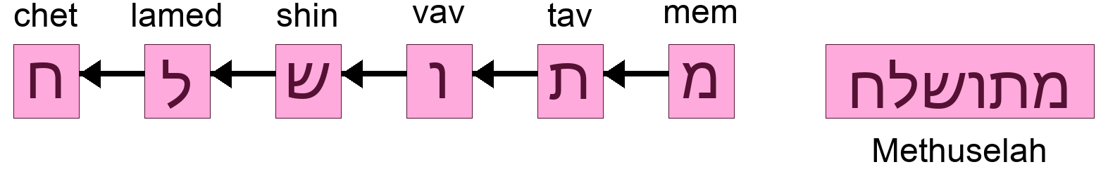 מתושלח - Methuselah