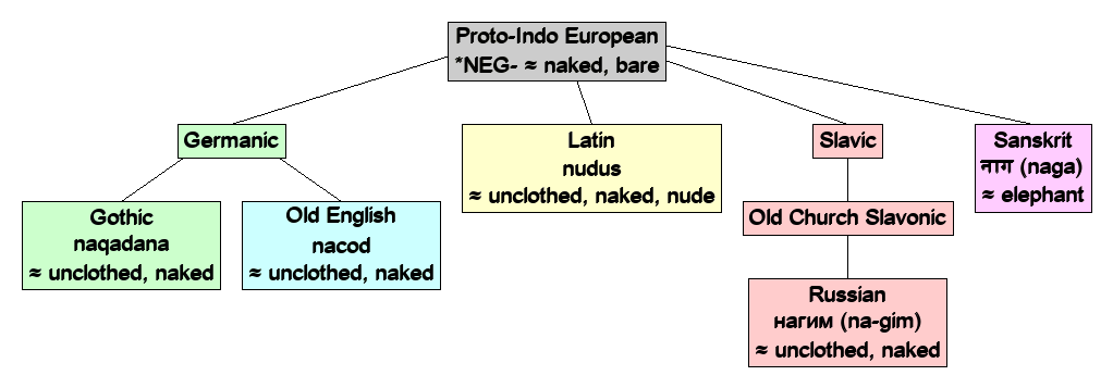 Linguistic diagram of naked