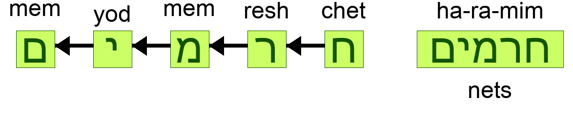 חרמים - nets