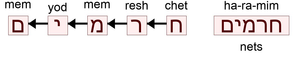 חרמים - nets