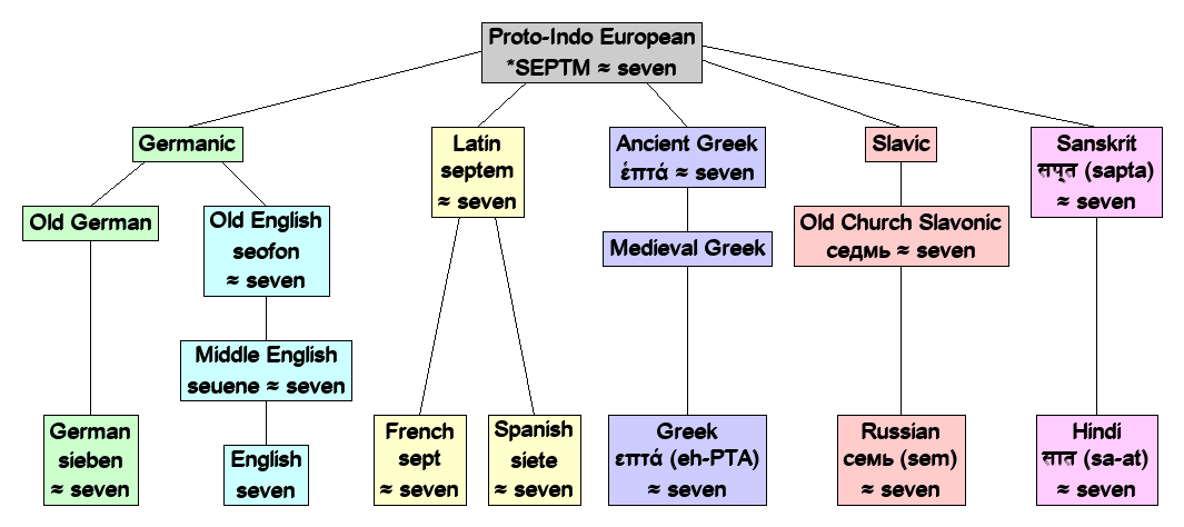 Linguistic diagram of seven