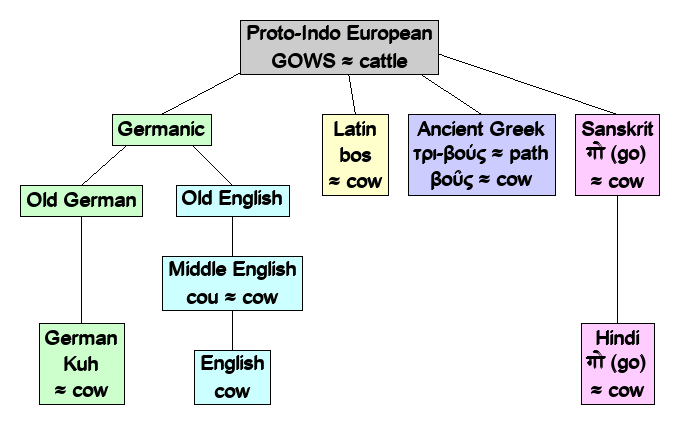 Linguistic diagram of cow