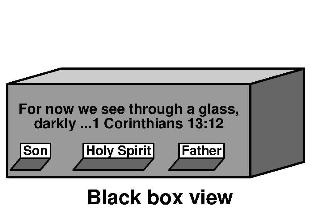 Black box view