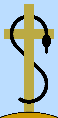 Serpent on the pole