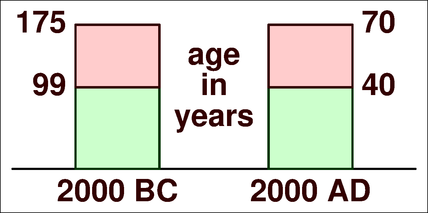 Abraham and Sarah bar chart