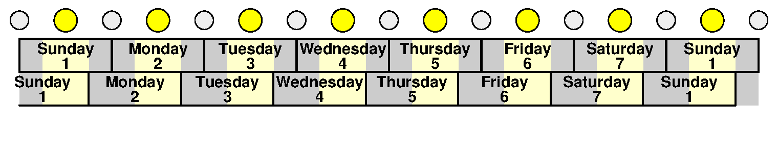 Week days