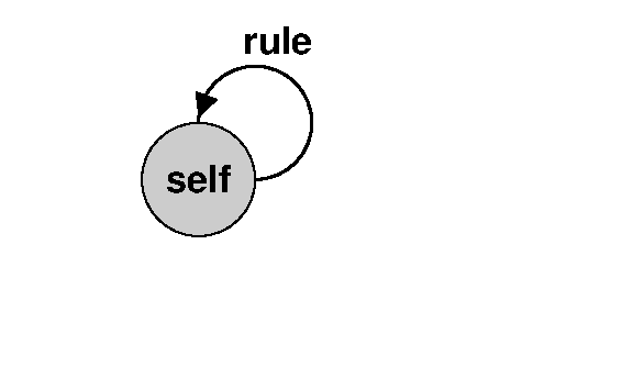 self rule