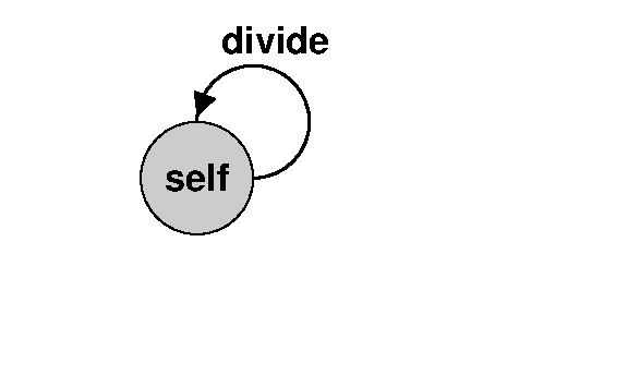 self divide