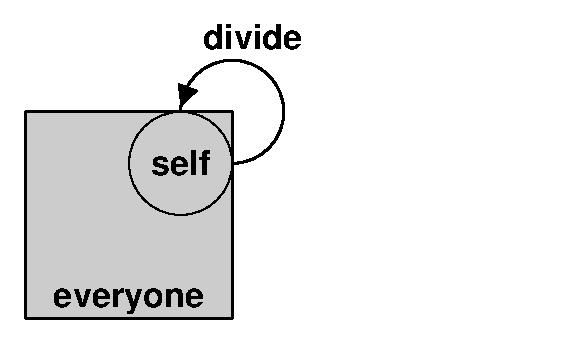 everone divide