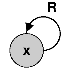 Reflexive x and R