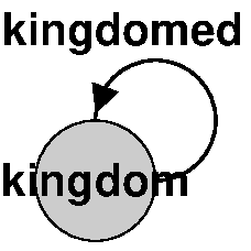 Reflexive kingdom kingdomed