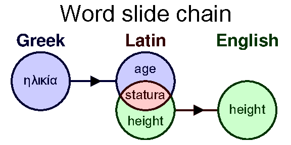 Whisper chain age to height