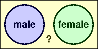 Male or female or else