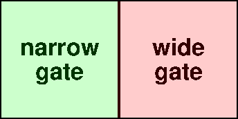 Narrow or Wide