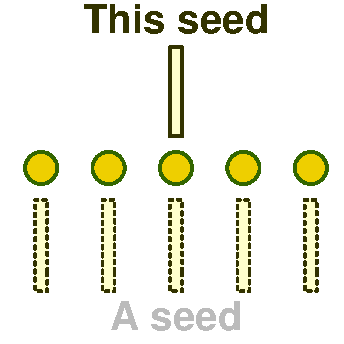 Seeds