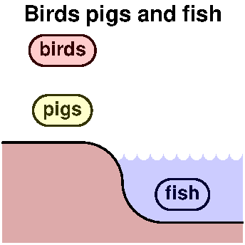 Birds pigs and fish