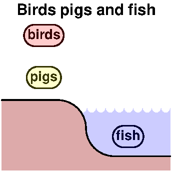 Birds pigs and fish