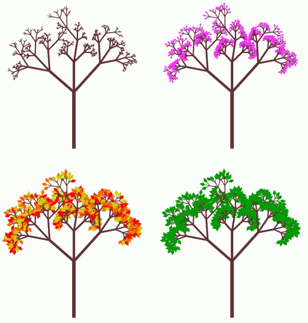 Fractal trees