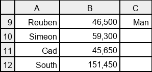 Camp of Israel spreadsheet values for south side