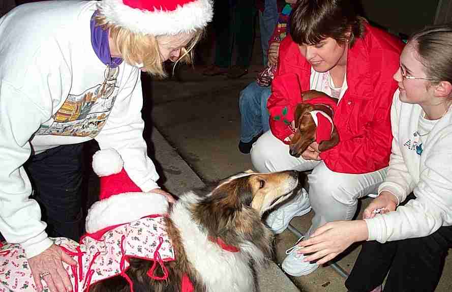 Christmas dog about 2002