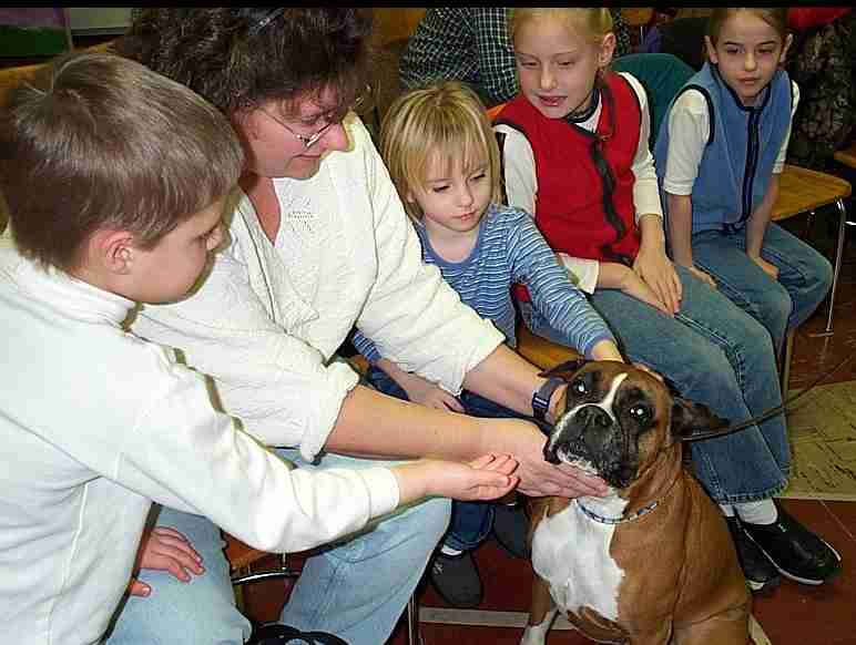 Christmas dog about 2002