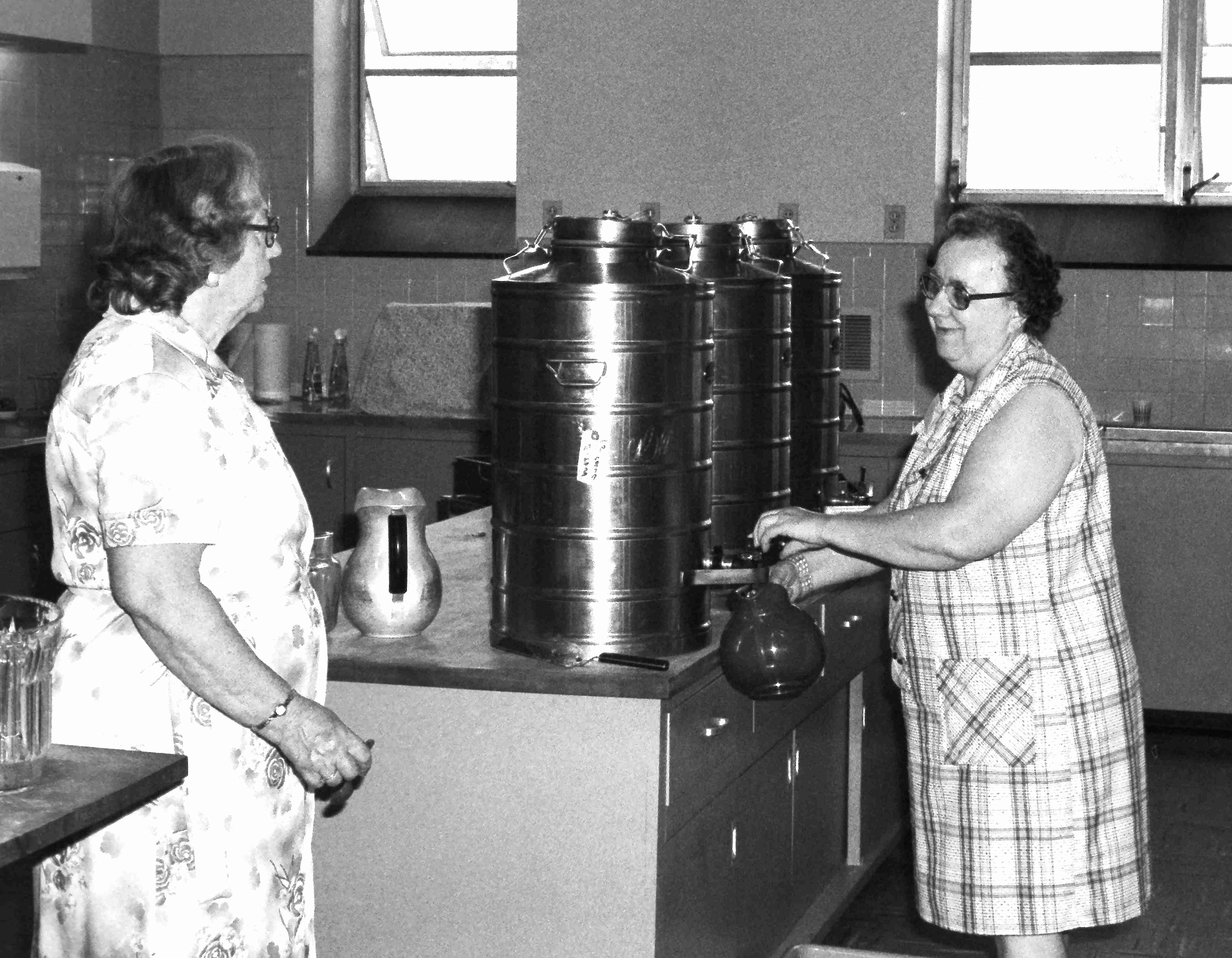 Kitchen in the 1980's