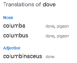 Google translate: pigeon, dove
