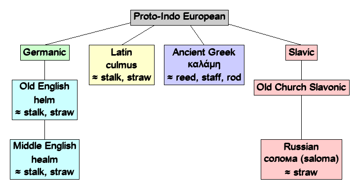 Linguistic diagram of reed