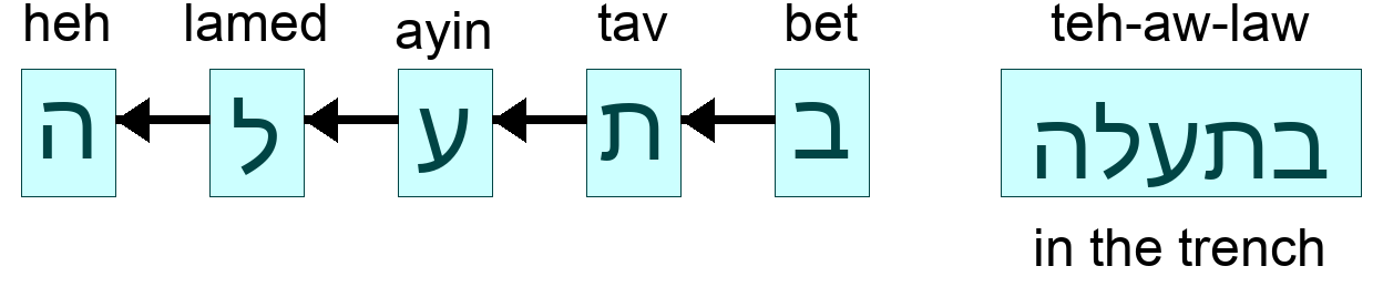 בתעלה - in the trench