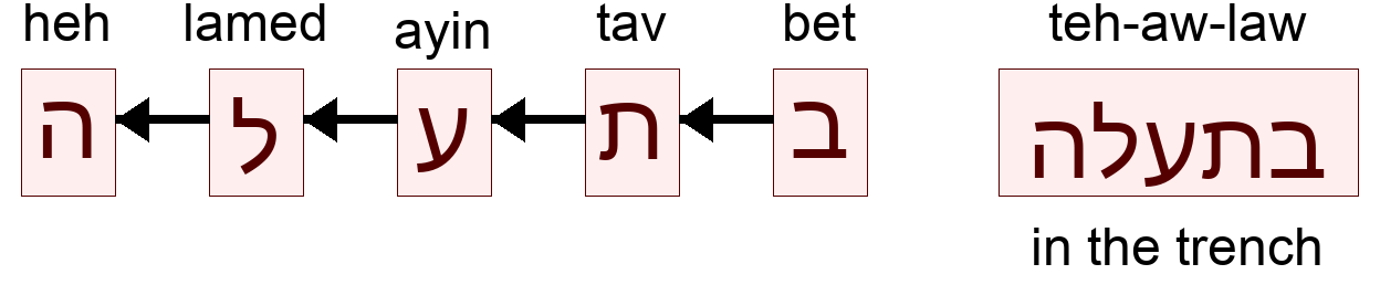 בתעלה - in the trench