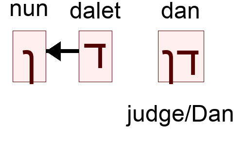 דן - judge/Dan