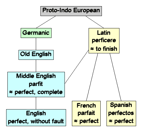 Linguistic diagram of perfect