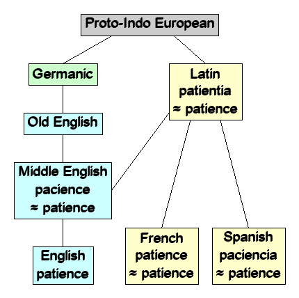 Linguistic diagram of patience