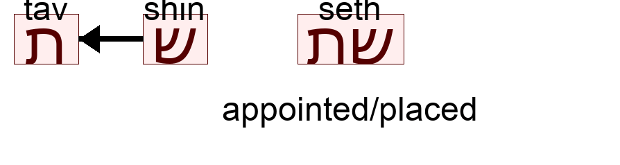 שת - appointed/placed