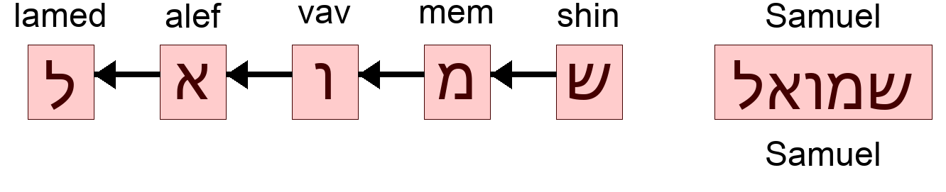 שמואל - Samuel