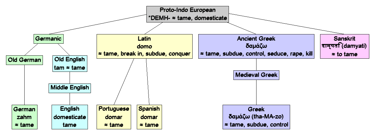 Linguistic diagram of tame