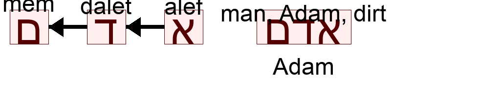 אדם - Adam