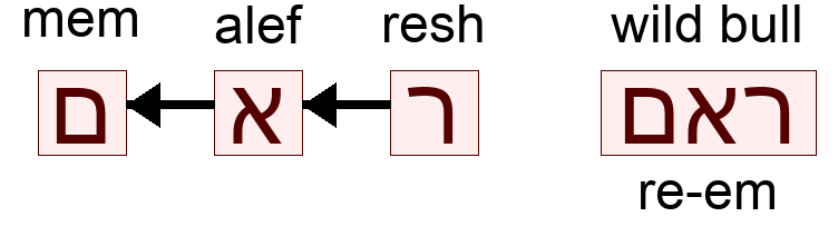 ראם - re-em