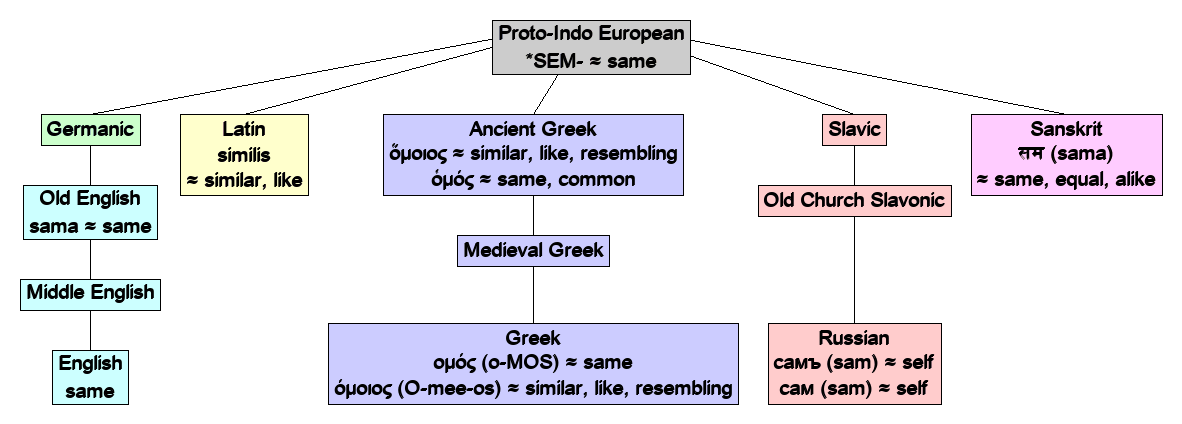 Linguistic diagram of similar