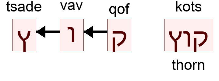 קוץ - thorn