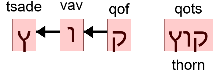 קוץ - thorn