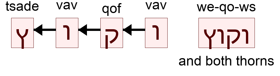 וקוץ - and both thorns