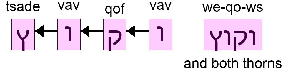 וקוץ - and both thorns