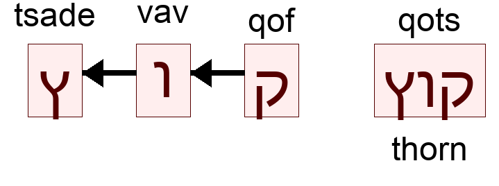 קוץ - thorn