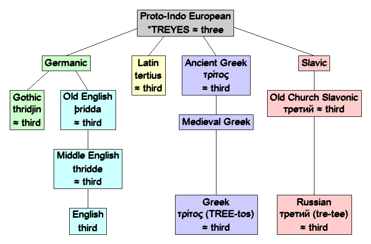 Linguistic diagram of third