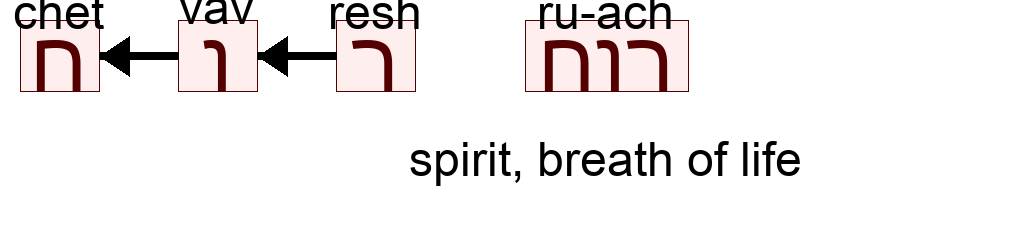 רוח - spirit, breath of life