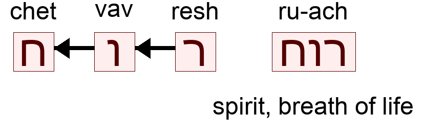 רוח - spirit, breath of life